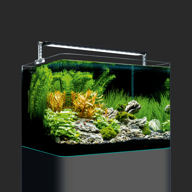 The Art of the Planted Aquarium - Dennerle Nano PLANT PRO 35